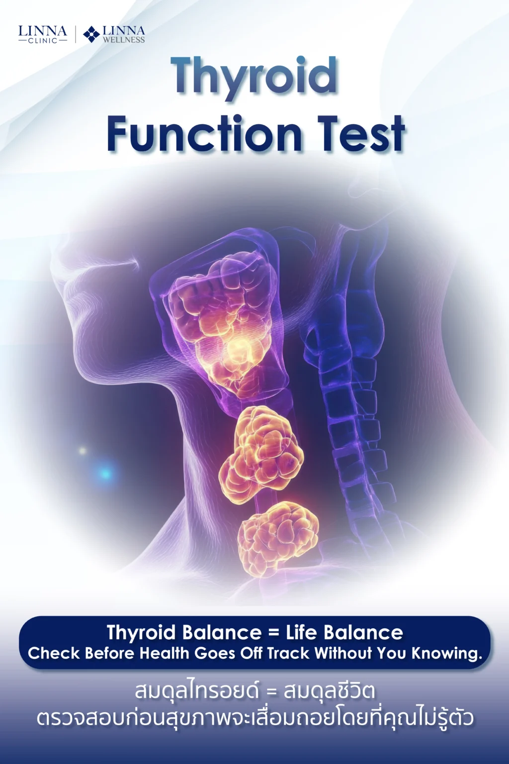 Thyroid function