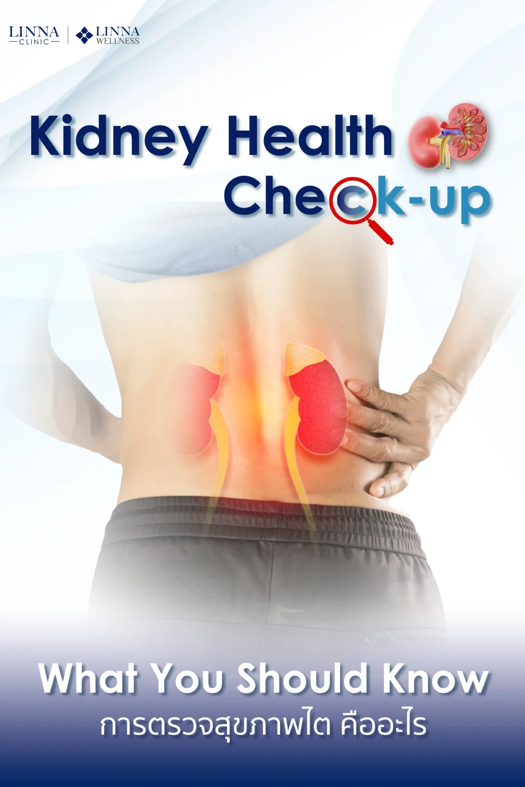 Kidney function